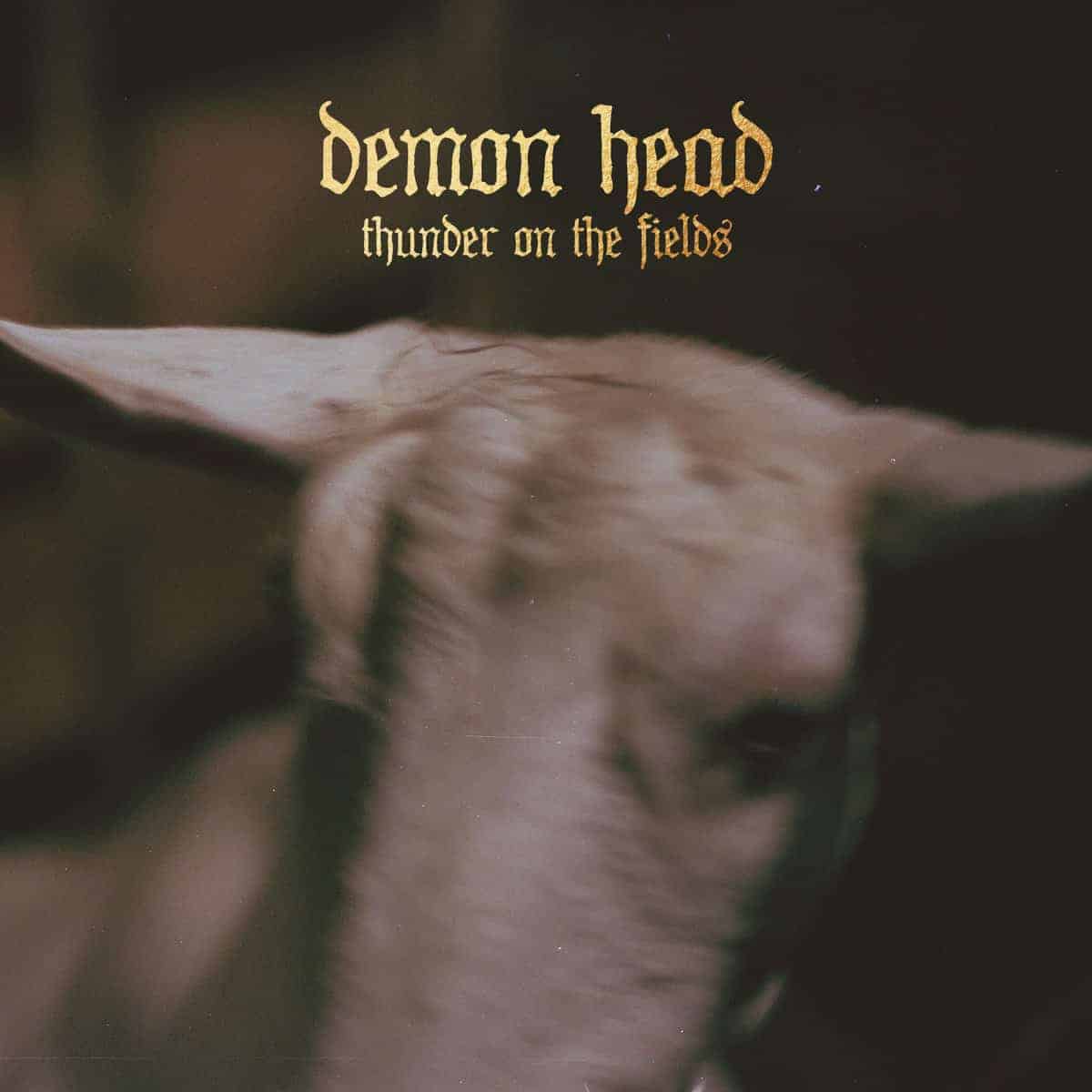 Demon Head - Thunder on the Fields LP/CD (The Sign Records) New Demon Head Album on The Sign Records! Vinyl comes in gatefold cover with gold foil finish.