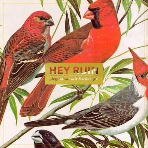Hey Ruin - Irgendwas mit Dschungel CD Pressing Info: 1st press: 150x blood red, 600x black (Sold Out) 2nd press: 500x clear brown marbled (Sold Out) 3rd press: 150x solid orange marbled & 150x transparent yellow vinyl comes with downloadcode, CD version in jewelcase