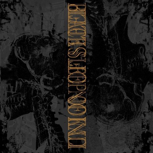 Black Sleep of Kali/Union of Sleep Split LP/digital 100% Baumwolle