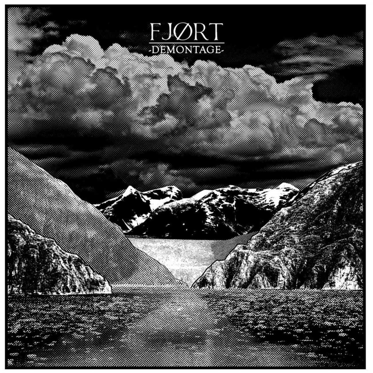 FJORT/FJØRT - Demontage 12" (Through Love) 7th Press - 650 copies in clear vinyl with a black screen print (Mountain/lake) - normal cover/inlay/dl code