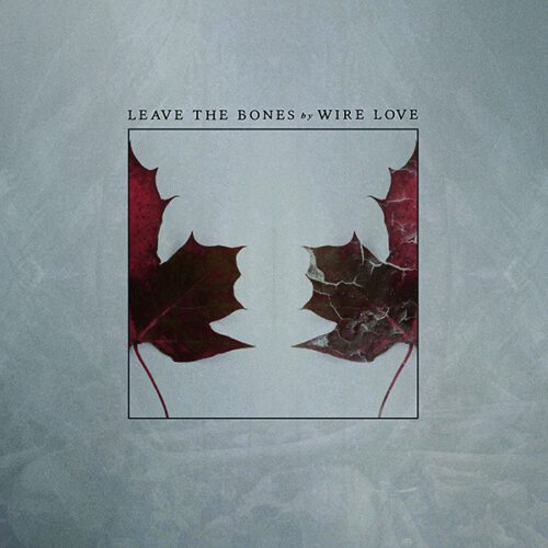 Wire Love Leave The Bones Cover