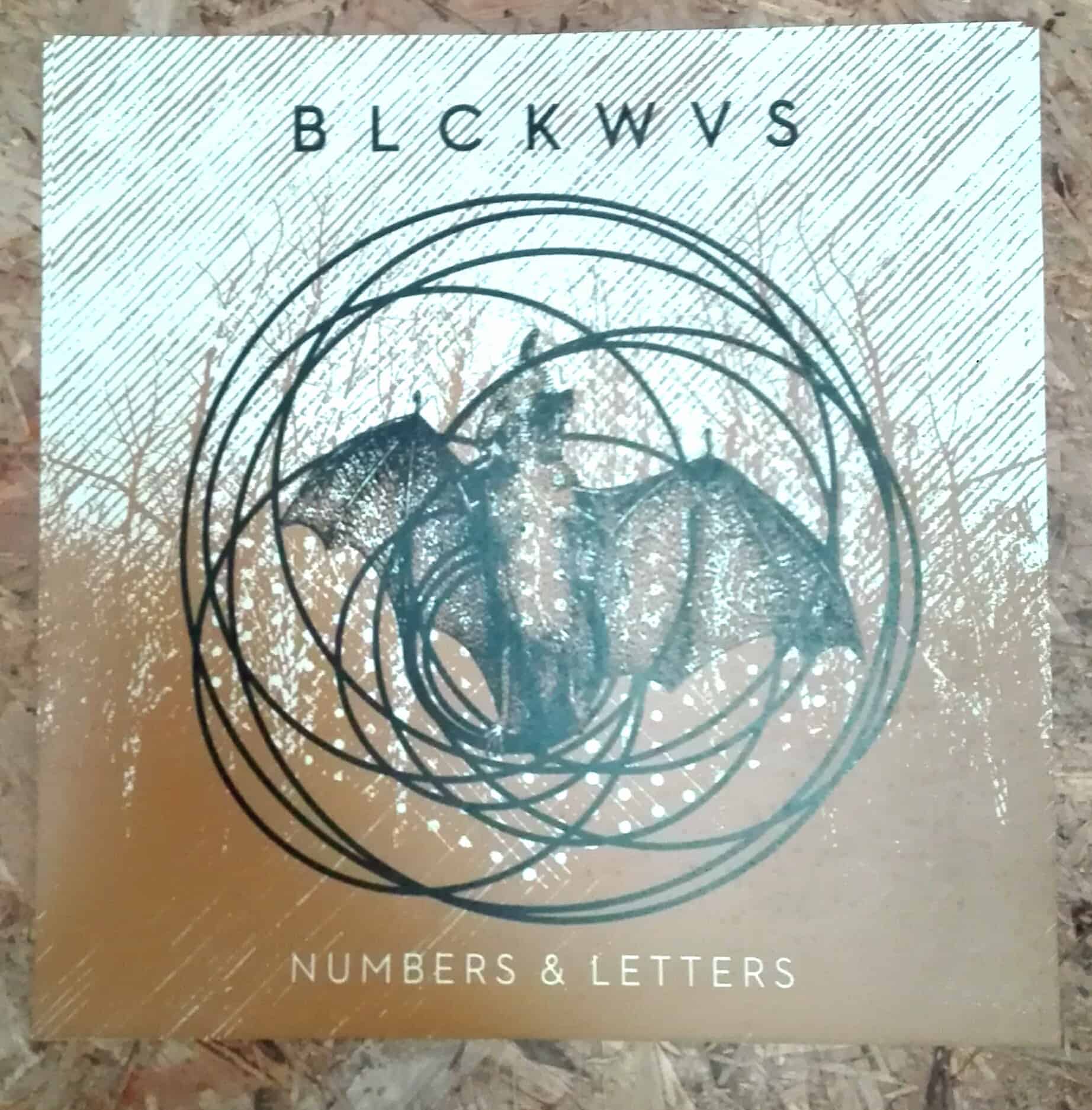 BLCKWVS - Bat Screenprints this design was printed for the long sold out discography BLCKWVS LP Box - i found some spare Prints in the depth of the warehouse!