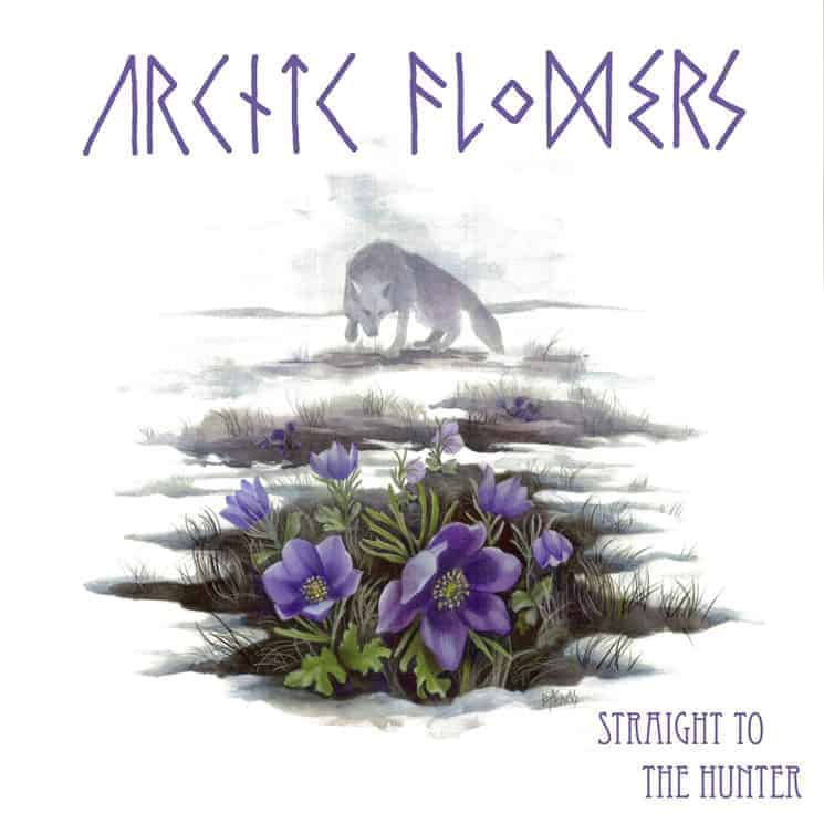 Arctic Flowers - Straight To The Hunter LP (Contrazt) Straight To The Hunter by Arctic Flowers
