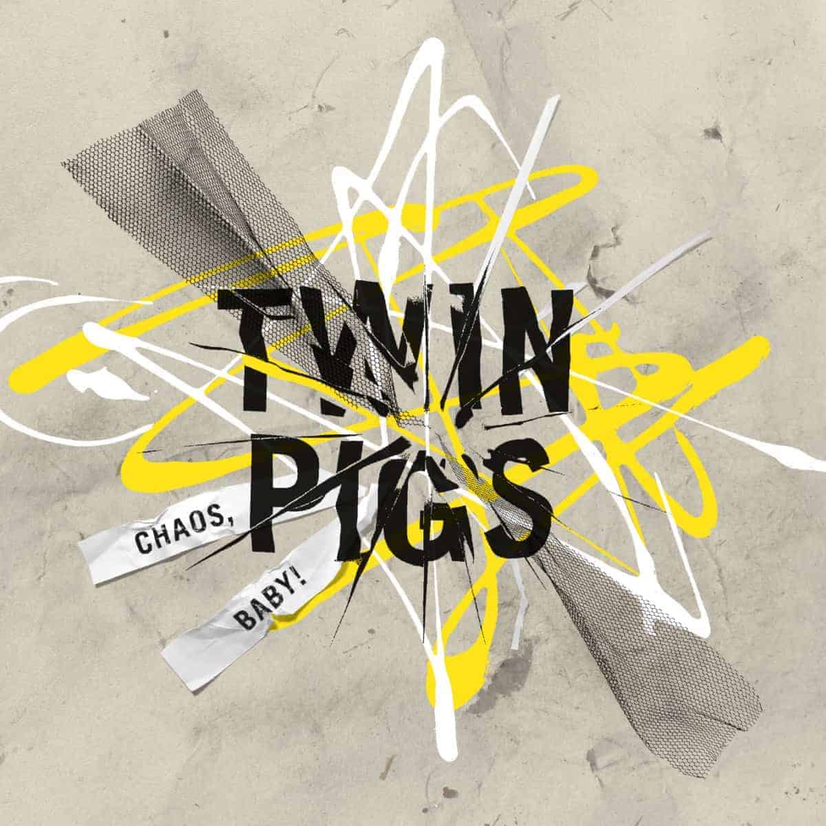 Twin Pigs Cover