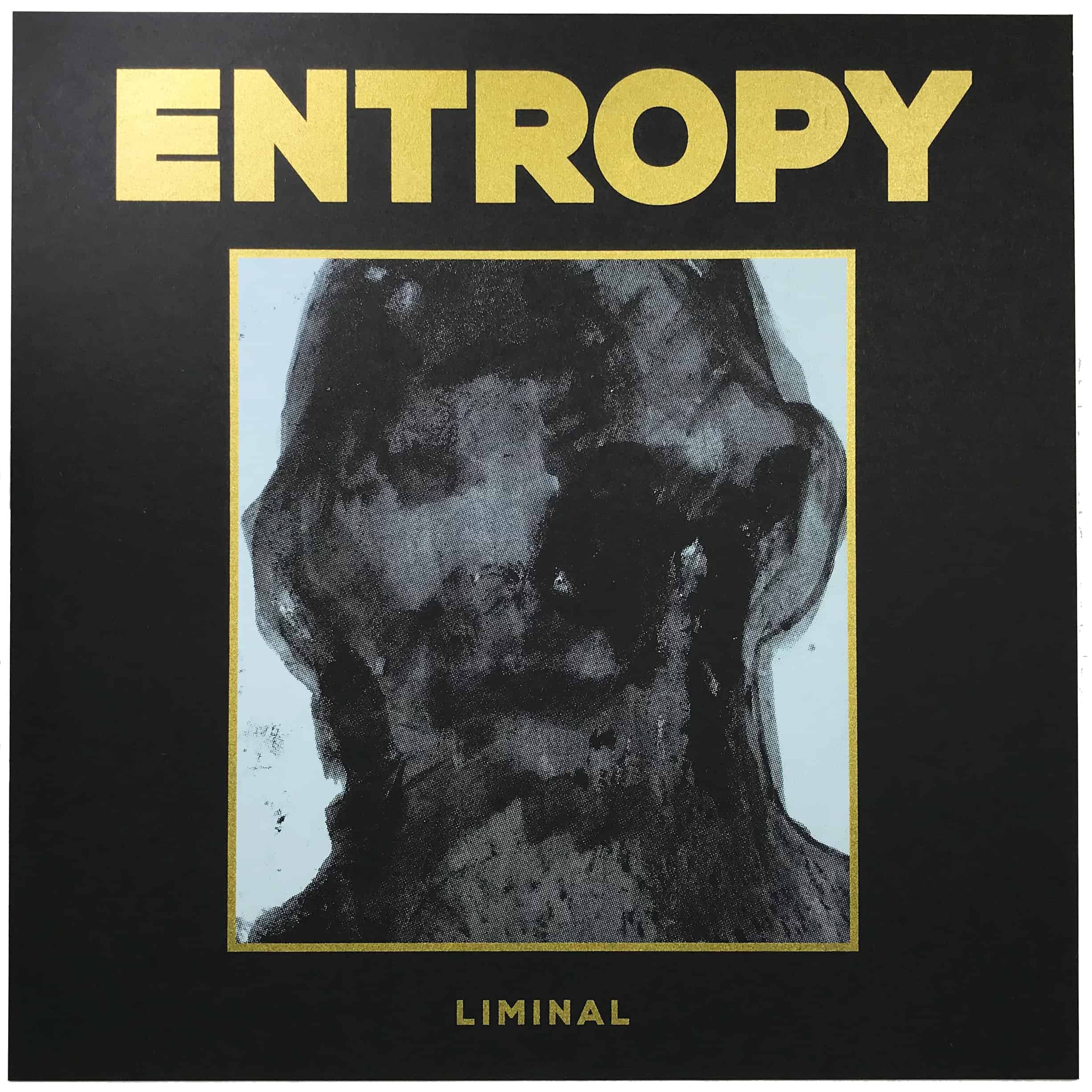Entropy Liminal Cover