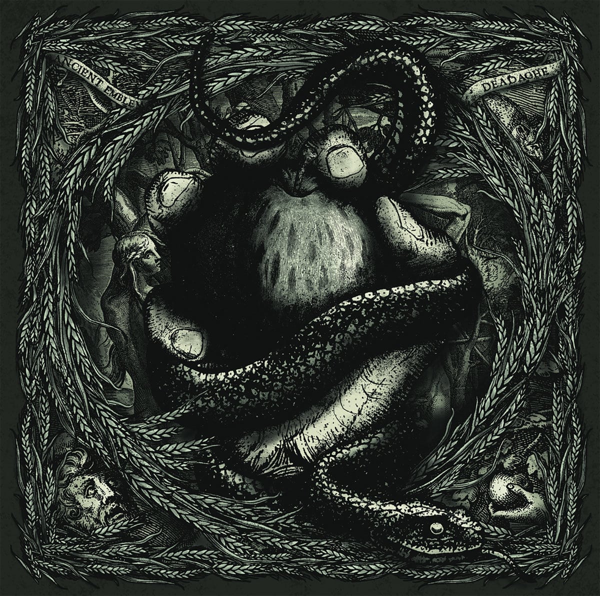 Ancient Emblem / Deadache – split LP great Split-LP by Ancient Emblem from the Basque Country and Deadache from Gothenborg, Sweden
