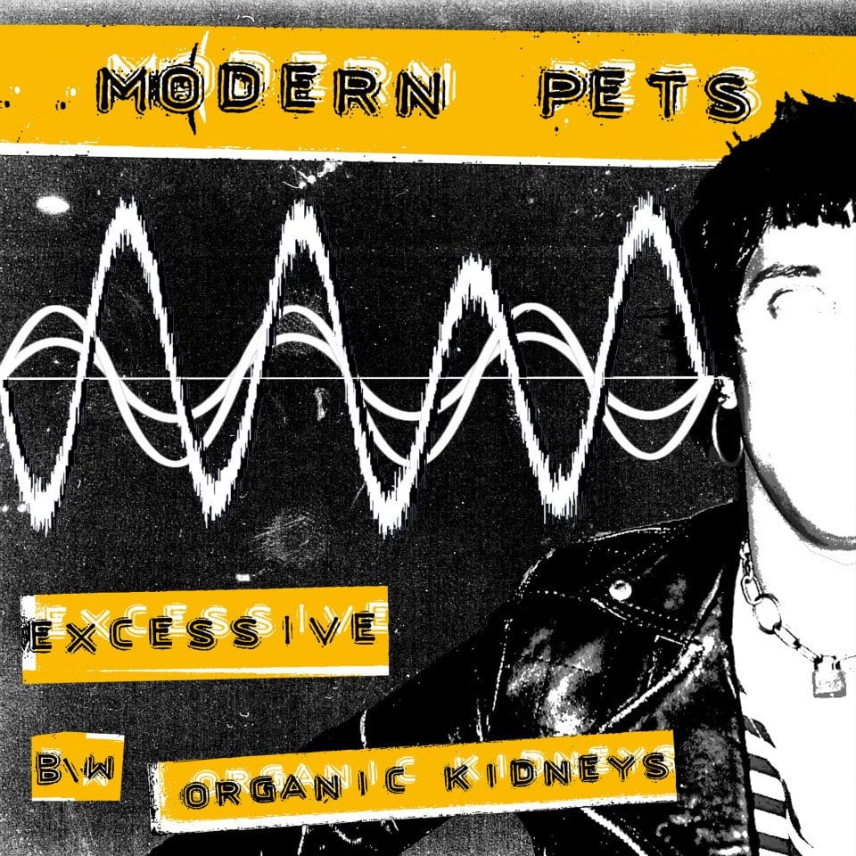 Modern Pets Cover